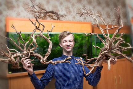 Деревянные композиции для аквариумов и террариумов