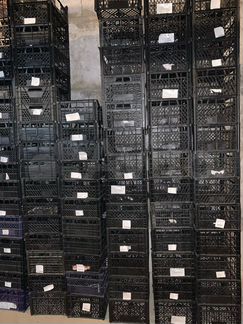 Контейнер для рассады, овощей, фруктов