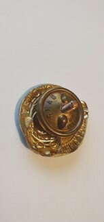 Знак юный друг автодора копия