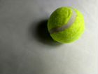 Теннисный мяч, новый, много объявление продам