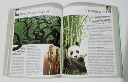Детская энциклопедия Махаон