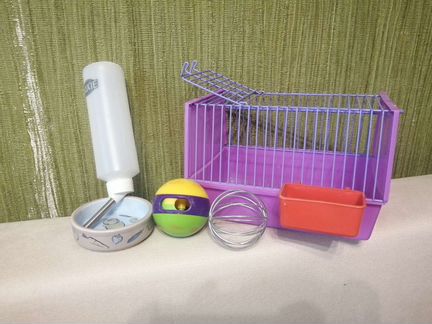 Переноска для грызунов + игрушки + кормушки